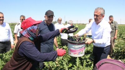 Karaman’da sebze üretimi artıyor