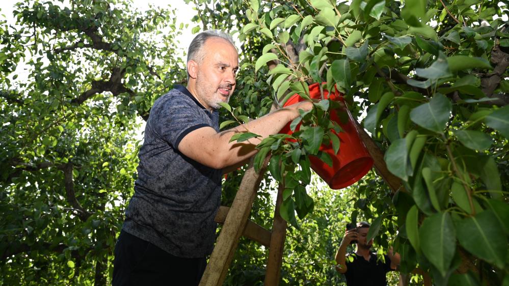 Başkan Aktaş çiftçinin yanında