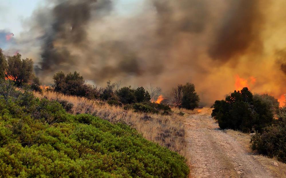 Yunanistan’da devam eden yangın Türk köylerine sıçradı