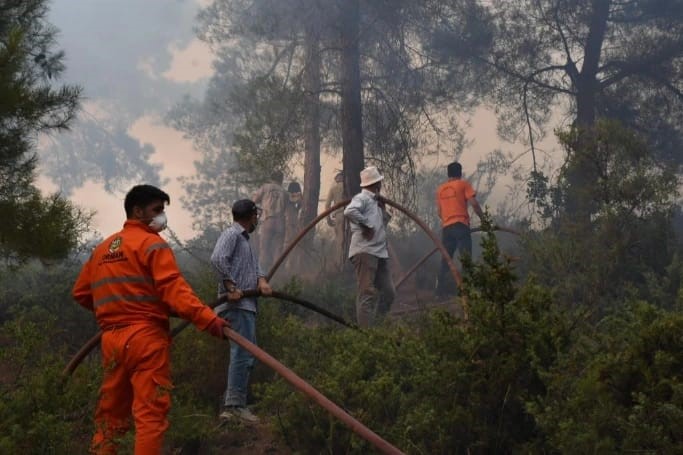 Bursa’daki yangından geriye gri orman kaldı!