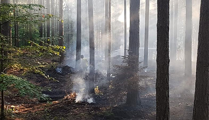 Çanakkale’deki orman yangını söndürüldü