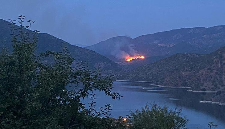 Laçin’de orman yangını