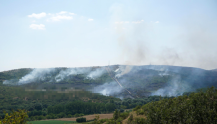 Türkiye – Bulgaristan sınırında orman yangını