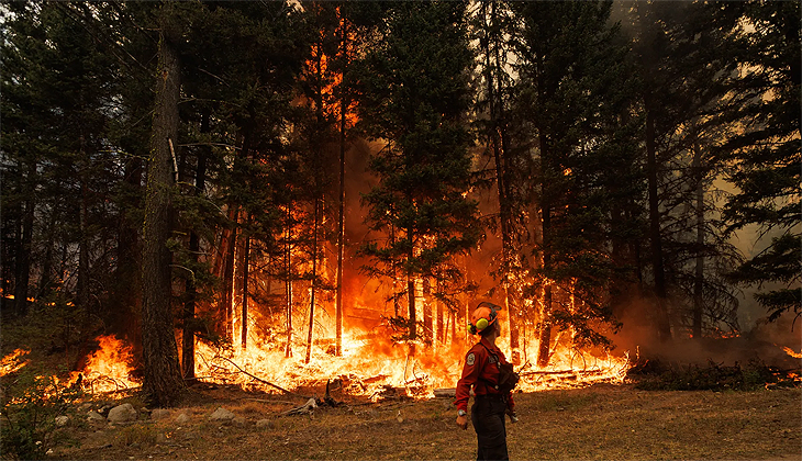 Kanada’da orman yangınları nedeniyle acil durum ilanı