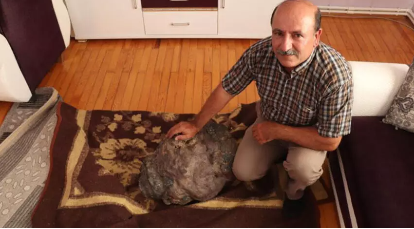 Tarlasında taş buldu, milyoner olarak anılmaya başladı, reklam filmi teklifi aldı! Sonuç hüsran
