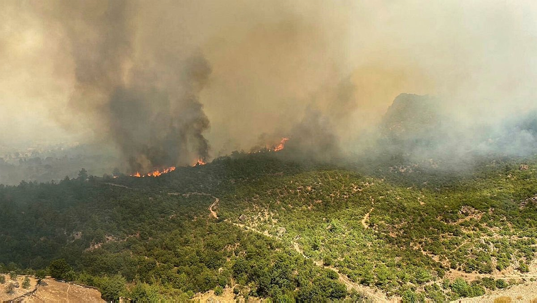AFAD: Çanakkale’deki orman yangını kontrol altına alındı