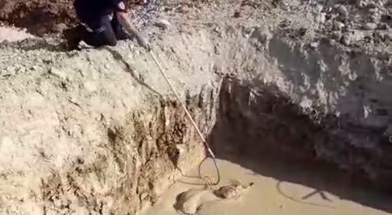 Bursa’da köpek kurtarma operasyonu