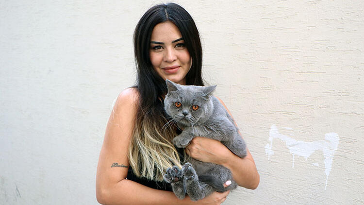 Depremde strese girip sürekli hastalanan kedi antidepresan tedavisiyle sağlığına kavuştu