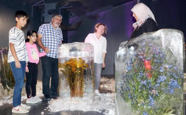 İklim krizine dikkat çekmek için bitkileri dondurdu