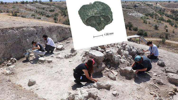 Aşağıseyit Höyüğü’nde Genç Tunç Çağı’na ait üzüm çekirdeği bulundu