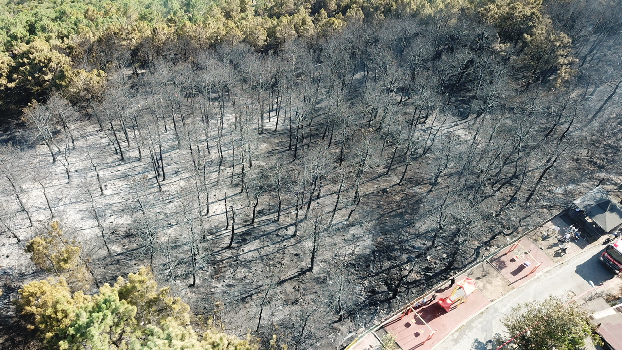 Maltepe’deki orman yangını ile ilgili 2 şüpheli gözaltına alındı