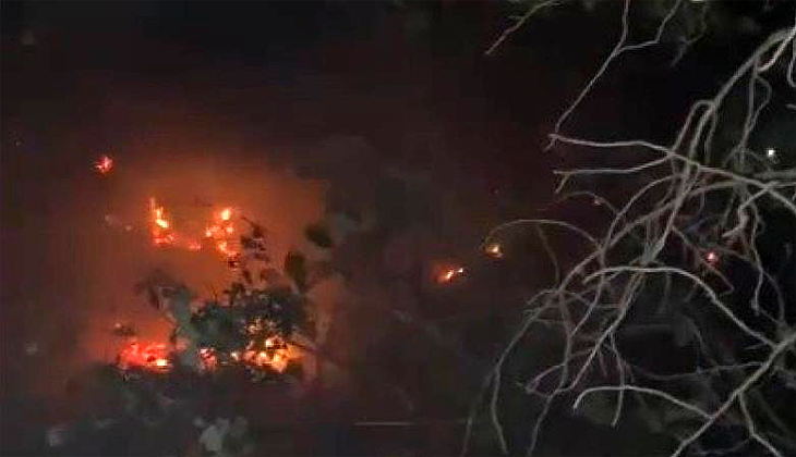 Muğla Menteşe’deki orman yangını kontrol altına alındı