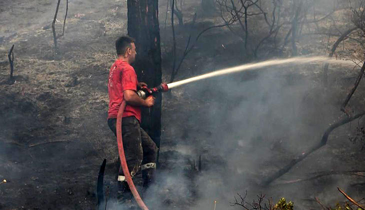 Bursa’daki orman yangını nedeniyle arı kovanları küle döndü