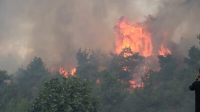 Bursa’da yanan ormanlar imara mı açılıyor?