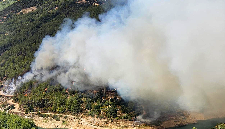 Alanya’da orman yangını