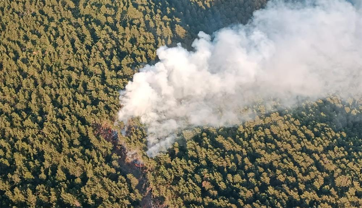 Hatay’da orman yangını