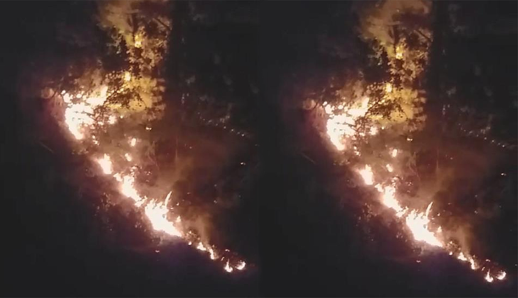 Kastamonu’da korkutan orman yangını