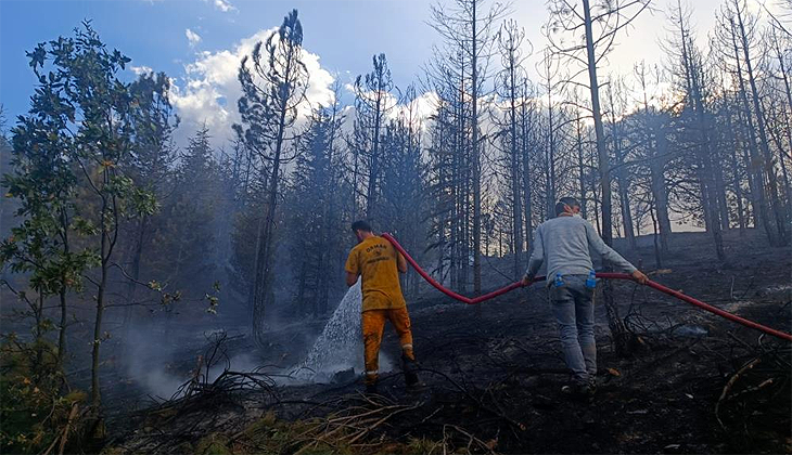 Konya’dadaki orman yangını söndürüldü