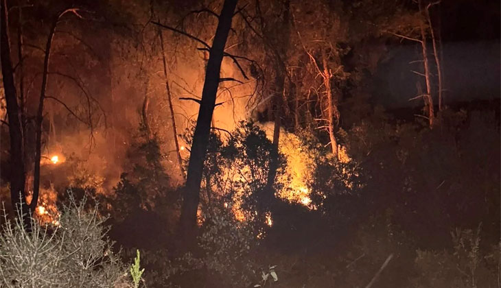 Adana’da aynı bölgede ikinci orman yangını
