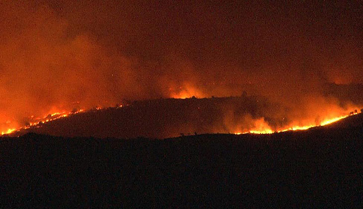 Bulgaristan-Türkiye sınırında orman yangını