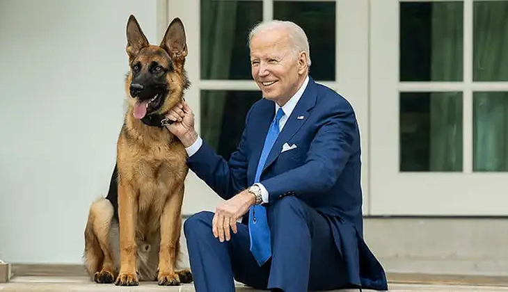 Biden’ın köpeği 11. ajanı ısırdı