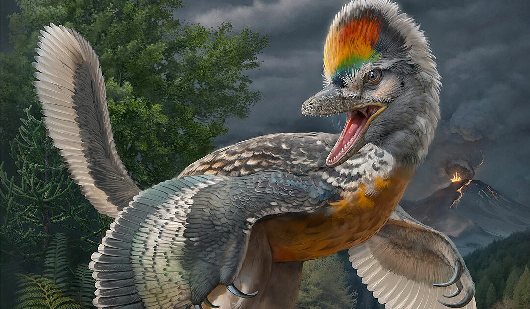 Çin’de uzun bacaklı kuş benzeri dinozor fosili bulundu