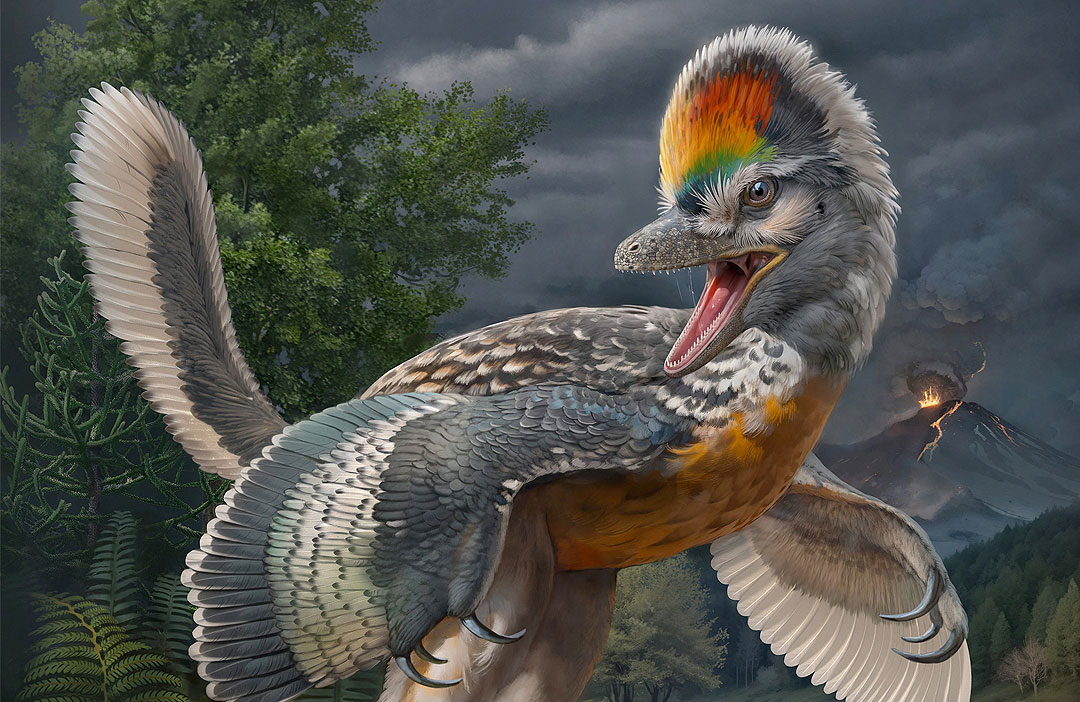 Çin’de uzun bacaklı kuş benzeri dinozor fosili bulundu