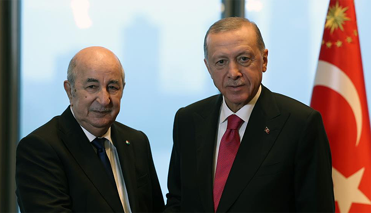 Erdoğan, Cezayir Cumhurbaşkanı ile görüştü