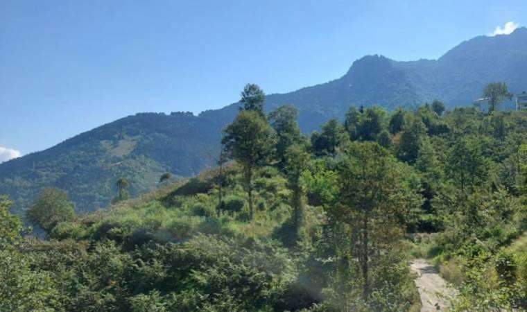 Karadeniz’de maden tehdidi
