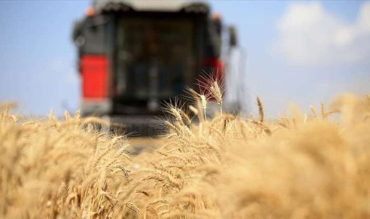 Ukrayna’dan Rusya, Türkiye ve Katar’a tepki