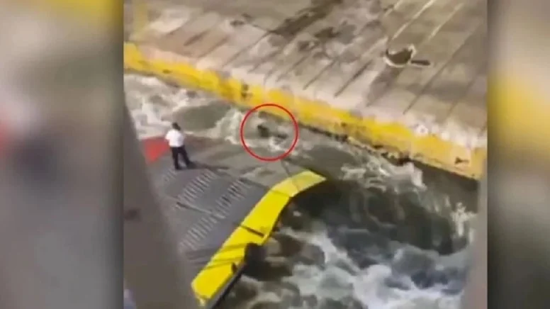 Göz göre göre gelen cinayetten sonra bakan istifa etti