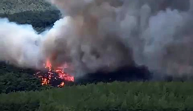 Bursa’daki orman yangın havadan görüntülendi