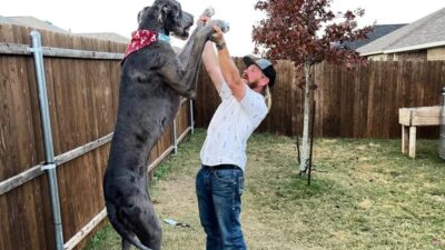 Dünyanın en uzun köpeği öldü