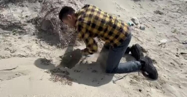 Gökçeada’da caretta caretta yuvası bulundu