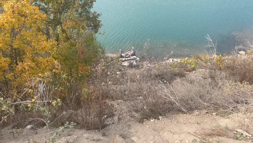 Eşek arısı kazaya neden oldu