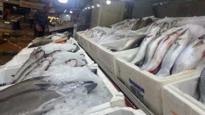 Balık pazarındaki sessizlik yerini berekete bıraktı