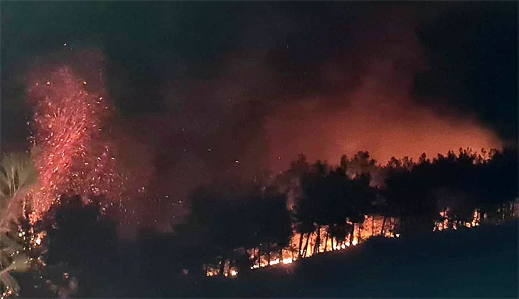 Adana’da orman yangını