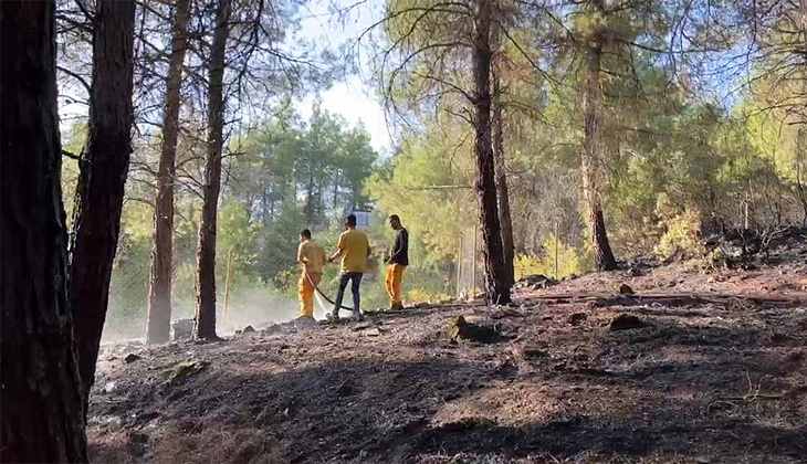 Burdur’daki orman yangını söndürüldü