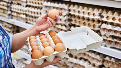 Yumurta sektörüne 98 milyon TL’lik rekor ceza