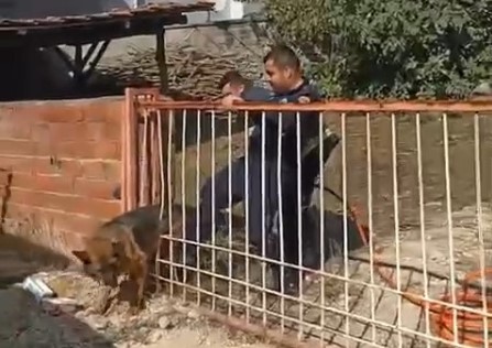 Bursa’da demir kapıya sıkışan köpeği itfaiye kurtardı Bursa’da demir kapıya sıkışan köpeği itfaiye kurtardı