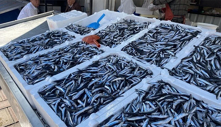 Balık fiyatları arttı: Vatandaşlar ilgi göstermedi