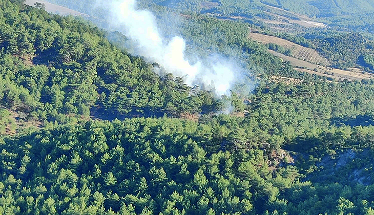 Çanakkale’de orman yangını