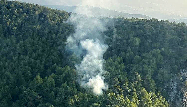 İzmir’deki orman yangını kontrol altına alındı