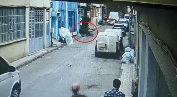 Bursa’da pitbull ile saldırıda şoke eden savunma