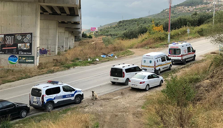 Bursa’da zeytinlikte kadın cesedi bulundu