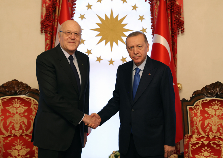 Erdoğan, Mikati ile görüştü