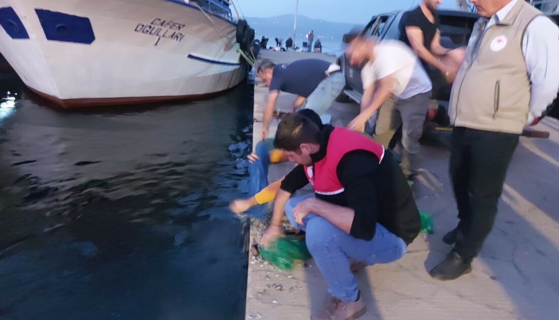 Bursa’da kaçak avcılar yakalandı! Binlercesi denize bırakıldı…