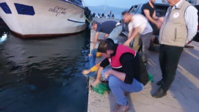 Bursa’da kaçak avcılar yakalandı! Binlercesi denize bırakıldı…