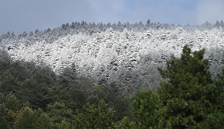 Kuzey Ege’de mevsimin ilk karı yağdı