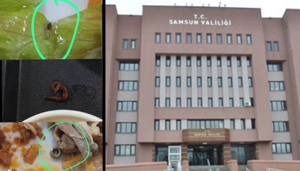 KYK Yurdu’nda yemekten böcek ve somun çıktı iddiası… Valilik soruşturma başlattı! KYK Yurdu’nda yemekten böcek ve somun çıktı iddiası… Valilik soruşturma başlattı!